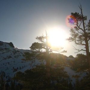 Meet your Posher, Julieny